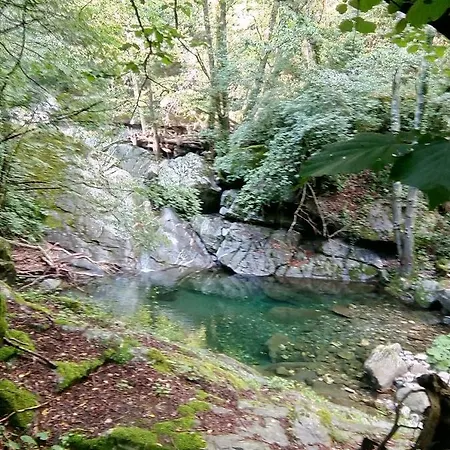 住宿加早餐酒店 Stefano Neirone