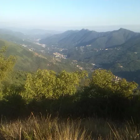 Stefano 3*