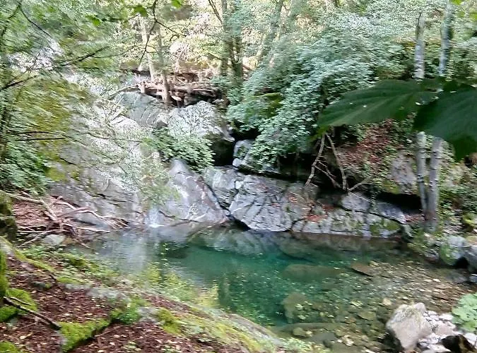 Bed & Breakfast Stefano Neirone