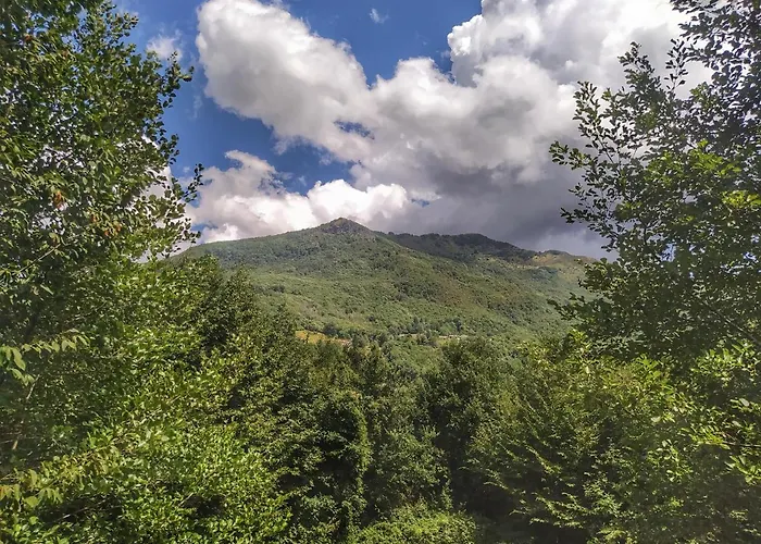 Stefano Bed & Breakfast 3*